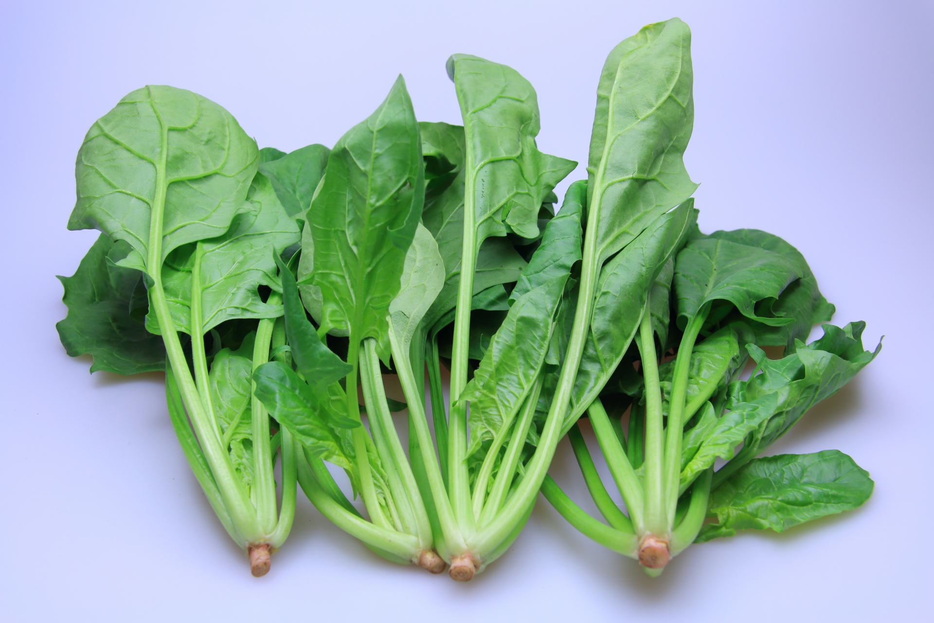 デトックススープに入れてはいけない野菜はある？
